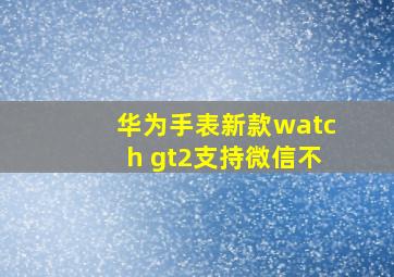 华为手表新款watch gt2支持微信不